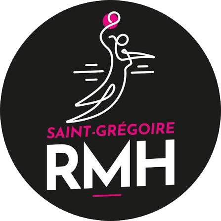 Logo de Saint-Gr&eacute;goire Rennes M&eacute;tropole Handball