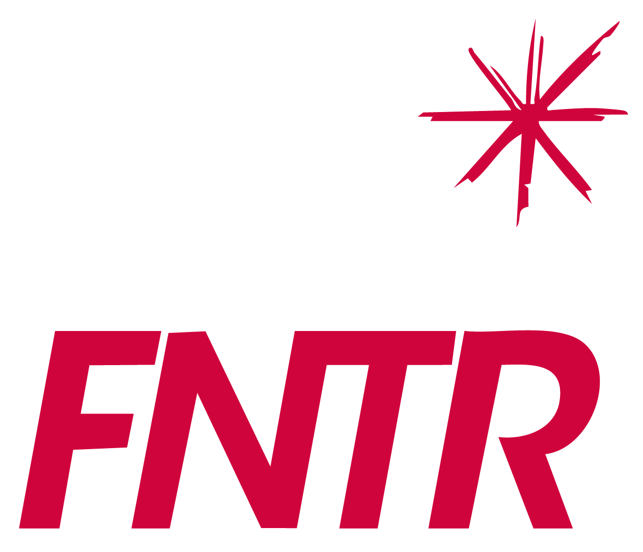 F&eacute;d&eacute;ration Nationale des Transports Routiers